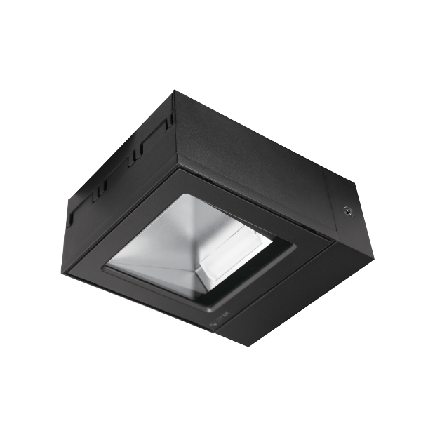 Surface Mounting Asymmetrical Wall Washer Architectural Outdoor Lighting IP66 Kapelux 07FMGC1057