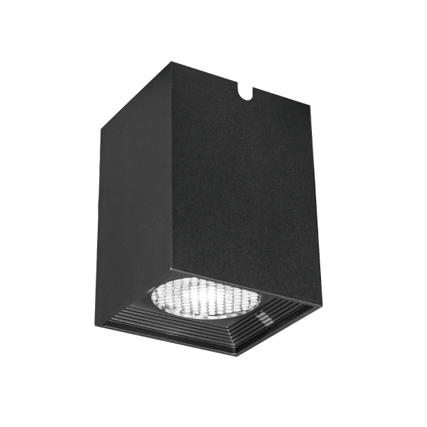 Kapelux 08XHB0174 architectural outdoor ceiling downlight installed in modern landscape project