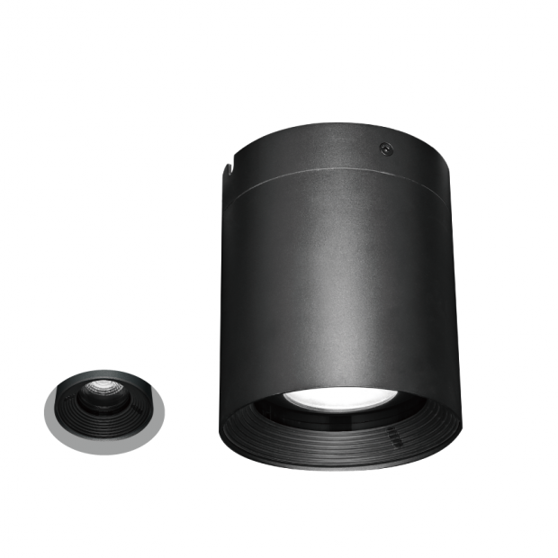 Kapelux 08ERB0178 architectural outdoor ceiling downlight installed in modern landscape project
