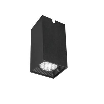 Kapelux 08WHB0170 outdoor wall mounting ceiling downlight IP65 architectural lighting